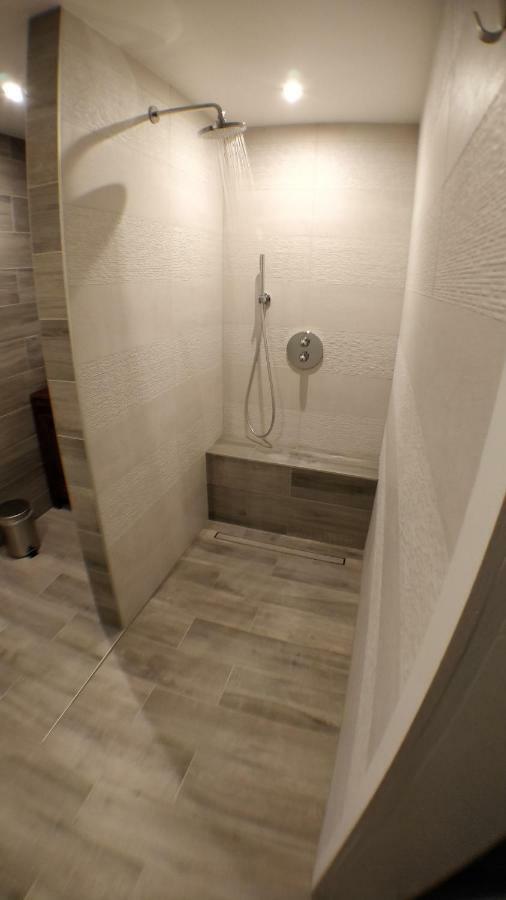 Maison Des Ecluses Strasbourg F3 90M2 Jacuzzi Climatisation Eksteriør billede